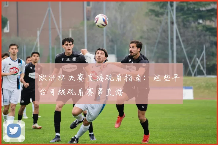 欧洲杯决赛直播观看指南：这些平台可线观看赛事直播