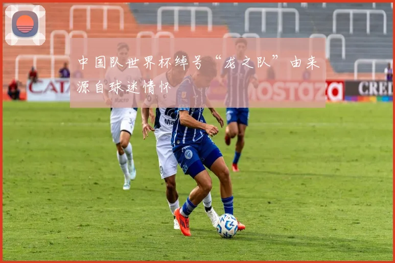 中国队世界杯绰号“龙之队”由来源自球迷情怀