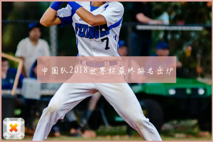 中国队2018世界杯最终排名出炉