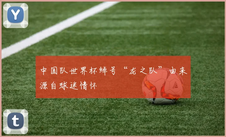 中国队世界杯绰号“龙之队”由来源自球迷情怀