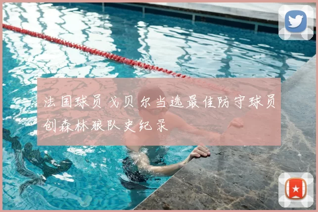 法国球员戈贝尔当选最佳防守球员创森林狼队史纪录