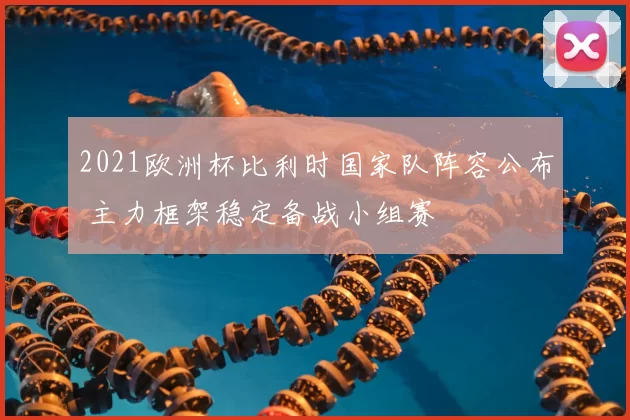 2021欧洲杯比利时国家队阵容公布 主力框架稳定备战小组赛