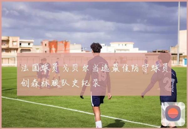 法国球员戈贝尔当选最佳防守球员创森林狼队史纪录
