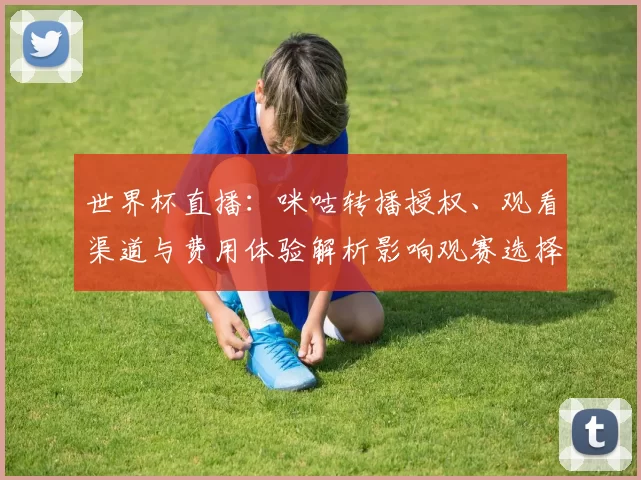 世界杯直播:咪咕转播授权、观看渠道与费用体验解析影响观赛选择