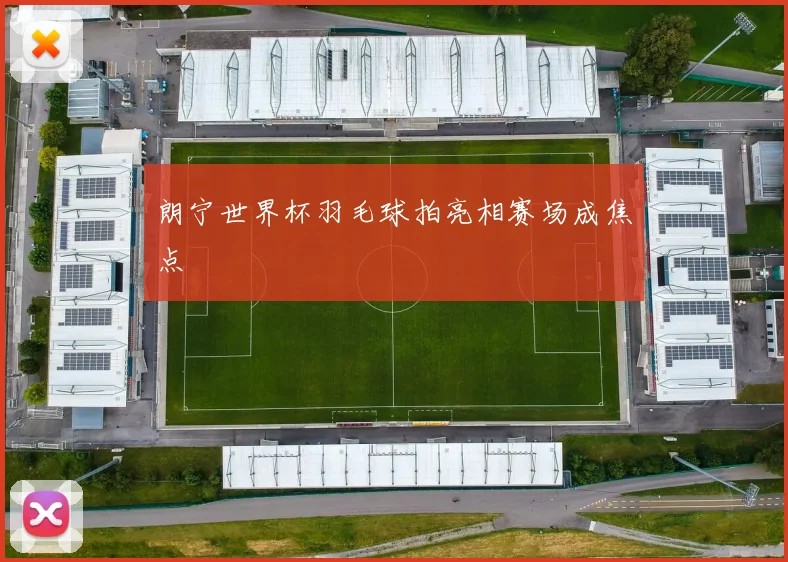 朗宁世界杯羽毛球拍亮相赛场成焦点