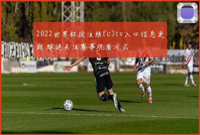 2022世界杯投注颊fc3tv入口信息更新 球迷关注赛事观看方式