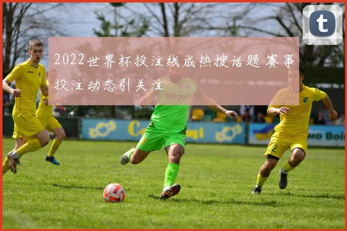 2022世界杯投注线成热搜话题 赛事投注动态引关注