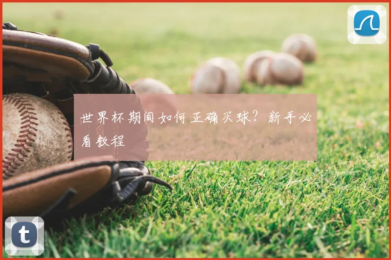 世界杯期间如何正确买球?新手必看教程