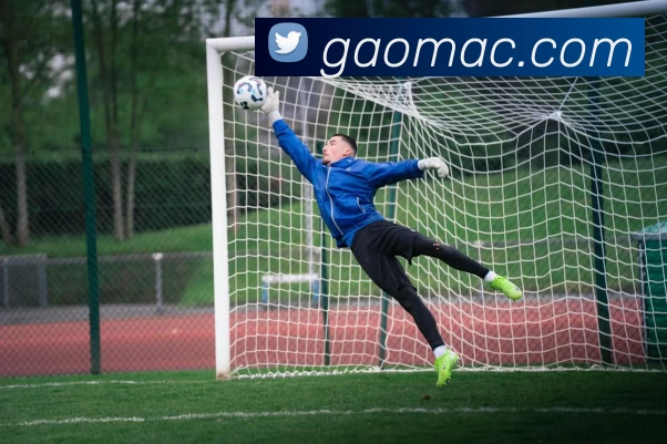 世界杯APP - 官方下载安装与赛事提醒 | 在线足球直播 | World Cup Mobile平台生态图