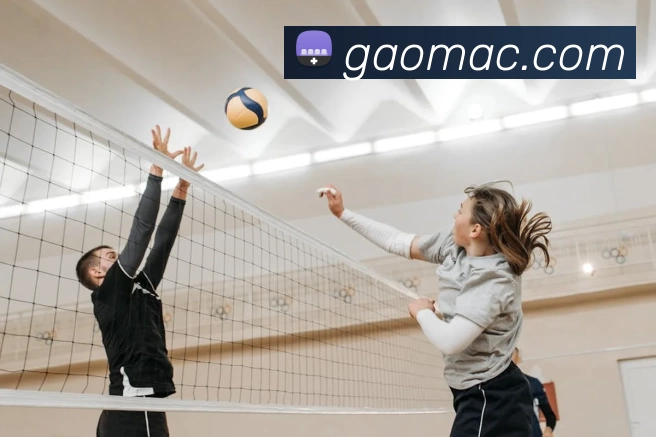 世界杯APP - 官方下载安装与赛事提醒 | 在线足球直播 | World Cup MobileAPP 封面图